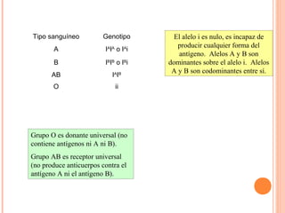 Tipo sanguíneo Genotipo
A IA
IA
o IA
i
B IB
IB
o IB
i
AB IA
IB
O ii
El alelo i es nulo, es incapaz de
producir cualquier forma del
antígeno. Alelos A y B son
dominantes sobre el alelo i. Alelos
A y B son codominantes entre sí.
Grupo O es donante universal (no
contiene antígenos ni A ni B).
Grupo AB es receptor universal
(no produce anticuerpos contra el
antígeno A ni el antígeno B).
 