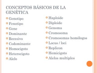CONCEPTOS BÁSICOS DE LA
GENÉTICA
 Genotipo
 Fenotipo
 Gene
 Dominante
 Recesivo
 Codominante
 Homocigoto
 Heterocigoto
 Alelo
 Haploide
 Diploide
 Genoma
 Cromosoma
 Cromosomas homólogos
 Locus / loci
 Replicon
 Hemicigoto
 Alelos multiples
 