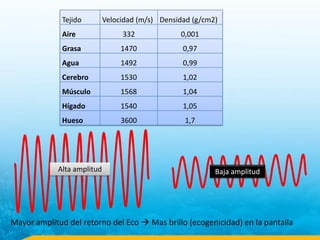 Tejido Velocidad (m/s) Densidad (g/cm2)
Aire 332 0,001
Grasa 1470 0,97
Agua 1492 0,99
Cerebro 1530 1,02
Músculo 1568 1,04
Hígado 1540 1,05
Hueso 3600 1,7
Mayor amplitud del retorno del Eco  Mas brillo (ecogenicidad) en la pantalla
Alta amplitud Baja amplitud
 
