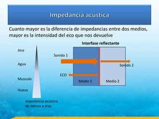 Cuanto mayor es la diferencia de impedancias entre dos medios,
mayor es la intensidad del eco que nos devuelve
Medio 1 Medio 2
Sonido 1
Sonido 2
ECO
Interfase reflectante
Aire
Agua
Musculo
Hueso
Impedancia acústica
de menos a mas
 
