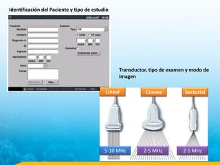 Transductor, tipo de examen y modo de
imagen
Identificación del Paciente y tipo de estudio
5-10 MHz 2-5 MHz 2-5 MHz
ConvexLineal Sectorial
 