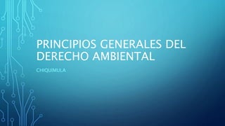 PRINCIPIOS GENERALES DEL
DERECHO AMBIENTAL
CHIQUIMULA
 