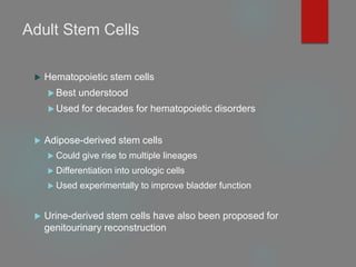 Adult Stem Cells
 Hematopoietic stem cells
 Best understood
 Used for decades for hematopoietic disorders
 Adipose-derived stem cells
 Could give rise to multiple lineages
 Differentiation into urologic cells
 Used experimentally to improve bladder function
 Urine-derived stem cells have also been proposed for
genitourinary reconstruction
 