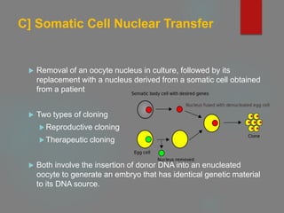 C] Somatic Cell Nuclear Transfer
 Removal of an oocyte nucleus in culture, followed by its
replacement with a nucleus derived from a somatic cell obtained
from a patient
 Two types of cloning
 Reproductive cloning
 Therapeutic cloning
 Both involve the insertion of donor DNA into an enucleated
oocyte to generate an embryo that has identical genetic material
to its DNA source.
 
