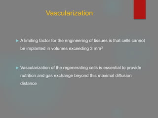 Vascularization
 A limiting factor for the engineering of tissues is that cells cannot
be implanted in volumes exceeding 3 mm3
 Vascularization of the regenerating cells is essential to provide
nutrition and gas exchange beyond this maximal diffusion
distance
 