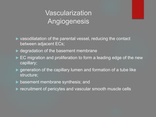 Vascularization
Angiogenesis
 vasodilatation of the parental vessel, reducing the contact
between adjacent ECs;
 degradation of the basement membrane
 EC migration and proliferation to form a leading edge of the new
capillary;
 generation of the capillary lumen and formation of a tube like
structure;
 basement membrane synthesis; and
 recruitment of pericytes and vascular smooth muscle cells
 