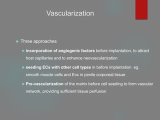 Vascularization
 Three approaches
 incorporation of angiogenic factors before implantation, to attract
host capillaries and to enhance neovascularization
 seeding ECs with other cell types in before implantation eg.
smooth muscle cells and Ecs in penile corporeal tissue
 Pre-vascularization of the matrix before cell seeding to form vascular
network, providing sufficient tissue perfusion
 