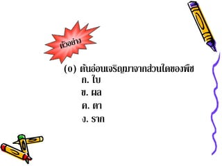 (0) ต้นอ่อนเจริญมาจากส่วนใดของพืช
    ก. ใบ
    ข. ผล
    ค. ตา
    ง. ราก
 