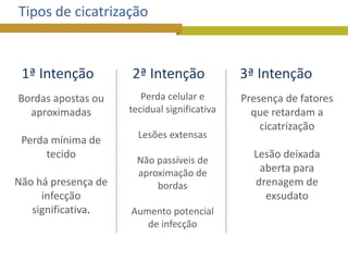 1 processo de cicatrização moodle | PDF