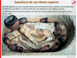 Sepultura de um Homo sapiens
Além de sepultar os mortos (característica exclusivamente humana), colocava-os na posição fetal
(semelhante aos bebés, no ventre materno), com alimentos e com objetos pessoais.
A justificação para este tipo de prática era o facto de o homo sapiens parecer acreditar na vida
após a morte.
 