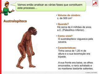Vamos então analisar as várias fases que constituem
        este processo…

                                      • Volume de cérebro:
                                       c. de 500 cm3
Australopiteco
                                      • Quando?
                                       Há cerca de 4 milhões de anos
                                       a.C. (Paleolítico Inferior).

                                      • Como vivia?
                                        O australopiteco vagueava pela
                                        savana.

                                      • Características:
                                        Tinha cerca de 1,20 m de
                                        altura e a sua locomoção era
                                        bípede.

                                        A sua fronte era baixa, os olhos
                                        encovados, o nariz achatado e
                                        os maxilares bastante salientes.
 