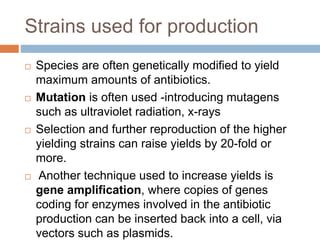 Strains used for production
 Species are often genetically modified to yield
maximum amounts of antibiotics.
 Mutation is often used -introducing mutagens
such as ultraviolet radiation, x-rays
 Selection and further reproduction of the higher
yielding strains can raise yields by 20-fold or
more.
 Another technique used to increase yields is
gene amplification, where copies of genes
coding for enzymes involved in the antibiotic
production can be inserted back into a cell, via
vectors such as plasmids.
 