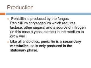 Production
 Penicillin is produced by the fungus
Penicillium chrysogenum which requires
lactose, other sugars, and a source of nitrogen
(in this case a yeast extract) in the medium to
grow well.
 Like all antibiotics, penicillin is a secondary
metabolite, so is only produced in the
stationary phase.
 