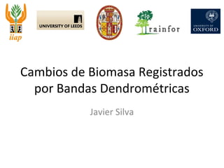 Cambios de Biomasa Registrados 
por Bandas Dendrométricas 
Javier Silva 
 