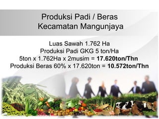 Produksi Padi / Beras
Kecamatan Mangunjaya
Luas Sawah 1.762 Ha
Produksi Padi GKG 5 ton/Ha
5ton x 1.762Ha x 2musim = 17.620ton/Thn
Produksi Beras 60% x 17.620ton = 10.572ton/Thn
 