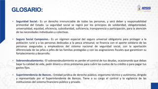GLOSARIO:
• Seguridad Social.- Es un derecho irrenunciable de todas las personas, y será deber y responsabilidad
primordial del Estado. La seguridad social se regirá por los principios de solidaridad, obligatoriedad,
universalidad, equidad, eficiencia, subsidiaridad, suficiencia, transparencia y participación, para la atención
de las necesidades individuales y colectivas.
• Seguro Social Campesino.- Es un régimen especial del seguro universal obligatorio para proteger a la
población rural y a las personas dedicadas a la pesca artesanal; se financia con el aporte solidario de las
personas aseguradas y empleadoras del sistema nacional de seguridad social, con la aportación
diferenciada de las jefas o jefes de las familias protegidas y con las asignaciones fiscales que garanticen su
fortalecimiento y desarrollo.
• Sobreendeudamiento.- El sobreendeudamiento es perder el control de tus deudas, ocasionando que debas
bajar tu calidad de vida, pedir dinero u otros préstamos para cubrir las cuotas de tu crédito o para pagar tus
gastos fijos.
• Superintendencia de Bancos.- Entidad jurídica de derecho público, organismo técnico y autónomo, dirigido
y representado por el Superintendente de Bancos. Tiene a su cargo el control y la vigilancia de las
instituciones del sistema financiero público y privado.
 