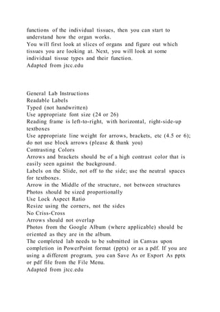 Project Disclaimer 1 Project Management Plan Disclaimer Conduct re | DOCX
