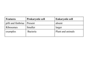 1_prokaryote and eukaryote.pptx