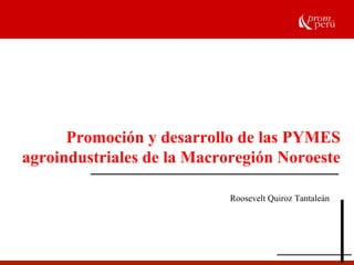 Promoción y desarrollo de las PYMES 
agroindustriales de la Macroregión Noroeste 
Roosevelt Quiroz Tantaleán 
 