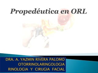 DRA. A. YAZMIN RIVERA PALOMO
      OTORRINOLARINGOLOGIA
 RINOLOGIA Y CIRUGIA FACIAL
 