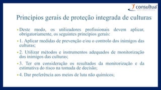 Princípios gerais de proteção integrada de culturas
• Deste modo, os utilizadores profissionais devem aplicar,
obrigatoriamente, os seguintes princípios gerais:
• 1. Aplicar medidas de prevenção e/ou o controlo dos inimigos das
culturas;
• 2. Utilizar métodos e instrumentos adequados de monitorização
dos inimigos das culturas;
• 3. Ter em consideração os resultados da monitorização e da
estimativa do risco na tomada de decisão;
• 4. Dar preferência aos meios de luta não químicos;
 