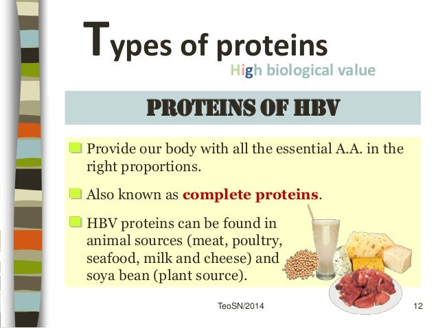 2 Food Sources Of High Biological Value Protein Diet