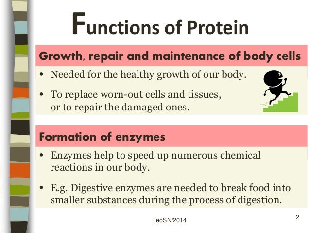 elements protein chemical (Part Nutrients and 1: F&N: 3 Sec Proteins Health)
