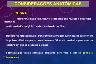 CONSIDERAÇÕES ANATÔMICAS
RETINA
- Membrana muito fina, flexível e delicada que reveste a superfície
interna da
parte posterior do globo ocular - abaixo da coróide;
- Receptores fotossensíveis: transformam a imagem luminosa do exterior em
impulsos elétricos que, através do nervo ótico, são enviados para área do
cérebro em que se processa a visão;
- Formada por várias camadas celulares sensíveis à luz: os cones e
bastonetes
 