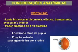 CONSIDERAÇÕES ANATÔMICAS
CRISTALINO:
- Lente intra-ocular biconvexa, elástica, transparente,
avascular e indolor
- Poder dióptrico de ± 19 dioptrias
- Localizado atrás da pupila
- Função: orientar
passagem de luz até a retina
 