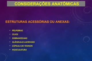 ESTRUTURAS ACESSÓRIAS OU ANEXAS:
• PÁLPEBRAS
• CILIOS
• SOBRANCELHAS
• GLÂNDULAS LACRIMAIS
• CÁPSULA DE TENNON
• MUSCULATURA
CONSIDERAÇÕES ANATÔMICAS
 