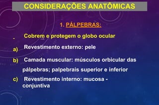 -
a)
b)
c)
CONSIDERAÇÕES ANATÔMICAS
1. PÁLPEBRAS:
Cobrem e protegem o globo ocular
Revestimento externo: pele
Camada muscular: músculos orbicular das
pálpebras; palpebrais superior e inferior
Revestimento interno: mucosa -
conjuntiva
 