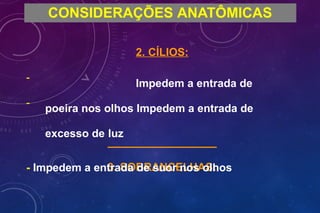 -
-
CONSIDERAÇÕES ANATÔMICAS
2. CÍLIOS:
Impedem a entrada de
poeira nos olhos Impedem a entrada de
excesso de luz
3. SOBRANCELHAS:
- Impedem a entrada de suor nos olhos
 