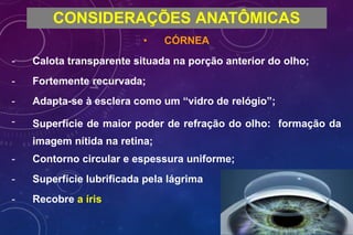 CONSIDERAÇÕES ANATÔMICAS
• CÓRNEA
- Calota transparente situada na porção anterior do olho;
- Fortemente recurvada;
- Adapta-se à esclera como um “vidro de relógio”;
- Superfície de maior poder de refração do olho: formação da
imagem nítida na retina;
- Contorno circular e espessura uniforme;
- Superfície lubrificada pela lágrima
- Recobre a íris
 