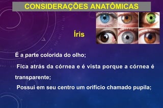CONSIDERAÇÕES ANATÔMICAS
Íris
É a parte colorida do olho;
Fica atrás da córnea e é vista porque a córnea é
transparente;
Possui em seu centro um orifício chamado pupila;
 