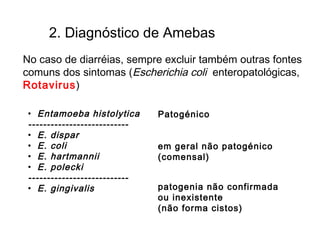 2. Diagnóstico de Amebas
• Entamoeba histolytica
---------------------------
• E. dispar
• E. coli
• E. hartmannii
• E. polecki
---------------------------
• E. gingivalis
Patogénico
em geral não patogénico
(comensal)
patogenia não confirmada
ou inexistente
(não forma cistos)
No caso de diarréias, sempre excluir também outras fontes
comuns dos sintomas (Escherichia coli enteropatológicas,
Rotavirus)
 