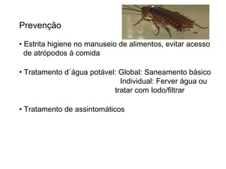 Prevenção
• Estrita higiene no manuseio de alimentos, evitar acesso
de atrópodos á comida
• Tratamento d´água potável: Global: Saneamento básico
Individual: Ferver água ou
tratar com Iodo/filtrar
• Tratamento de assintomáticos
 