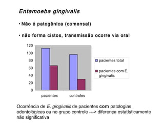 Entamoeba gingivalis
• Não é patogênica (comensal)
• não forma cistos, transmissão ocorre via oral
0
20
40
60
80
100
120
pacientes controles
pacientes total
pacientes com E.
gingivalis
Ocorrência de E. gingivalis de pacientes com patologias
odontológicas ou no grupo controle ---> diferença estatísticamente
não significativa
 