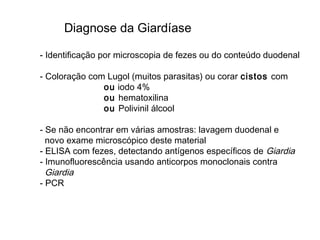 - Identificação por microscopia de fezes ou do conteúdo duodenal
- Coloração com Lugol (muitos parasitas) ou corar cistos com
ou iodo 4%
ou hematoxilina
ou Polivinil álcool
- Se não encontrar em várias amostras: lavagem duodenal e
novo exame microscópico deste material
- ELISA com fezes, detectando antígenos específicos de Giardia
- Imunofluorescência usando anticorpos monoclonais contra
Giardia
- PCR
Diagnose da Giardíase
 