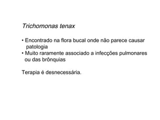 Trichomonas tenax
• Encontrado na flora bucal onde não parece causar
patologia
• Muito raramente associado a infecções pulmonares
ou das brônquias
Terapia é desnecessária.
 