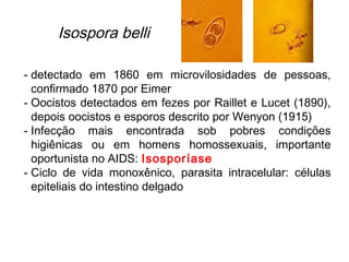 Isospora belli
- detectado em 1860 em microvilosidades de pessoas,
confirmado 1870 por Eimer
- Oocistos detectados em fezes por Raillet e Lucet (1890),
depois oocistos e esporos descrito por Wenyon (1915)
- Infecção mais encontrada sob pobres condições
higiênicas ou em homens homossexuais, importante
oportunista no AIDS: Isosporíase
- Ciclo de vida monoxênico, parasita intracelular: células
epiteliais do intestino delgado
 