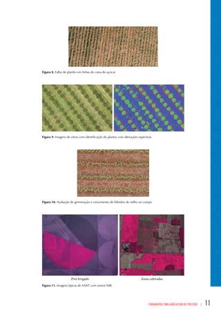 Figura 8. Falha de plantio em linhas de cana-de-açúcar 
Figura 9. Imagens de citros com identificação de plantas com alterações espectrais. 
Figura 10. Avaliação de germinação e crescimento de híbridos de milho no campo 
Ferramentas para Agricultura de Precisão | 11 
Figura 11. Imagens típicas de VANT com sensor NIR. 
 