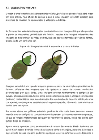 1.4 DESENHANDO NO FLASH
O Flash é uma ferramenta essencialmente vetorial, por isso ele pode ser leve para rodar
em site online. Mas afinal de contas o que é uma imagem vetorial? Existem dois
sistemas de imagem no computador o vetorial e o bitmap.
As ferramentas vetoriais são aquelas que trabalham com imagens 2D que são geradas
a partir de descrições geométricas de formas. Vetores são imagens diferentes das
imagens do tipo bitmap, ou mapa de bits, que são aquelas formadas por vários pontos,
pixels, cada um com uma cor.
Figura 6 - Imagem vetorial à esquerda e bitmap à direita
Imagem vetorial é um tipo de imagem gerada a partir de descrições geométricas de
formas, diferente das imagens que são geradas a partir de pontos minúsculos
diferenciados por suas cores. Uma imagem vetorial normalmente é composta por
curvas, elipses, polígonos, texto, entre outros elementos, isto é, utilizam informações
(vetores) matemáticos para sua descrição. Em um trecho de desenho sólido, de uma
cor apenas, um programa vetorial apenas repete o padrão, não tendo que armazenar
dados para cada pixel.
Por causa disso, os gráficos vetoriais geralmente são mais leves (ocupam menos
memória no disco rígido do computador) e não perdem qualidade ao serem ampliados,
já que as funções matemáticas adequam-se facilmente à escala, o que não ocorre com
outros tipos de imagem.
Agora vamos aprender como se desenha utilizando a ferramenta Flash. Podemos ver
que o flash possui diversas formas básicas tais como o retângulo, polígono e a elipse e
que através dessas imagens podemos combiná-las e transformá-las em desenhos e
 