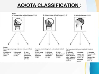 AO/OTA CLASSIFICATION :
 