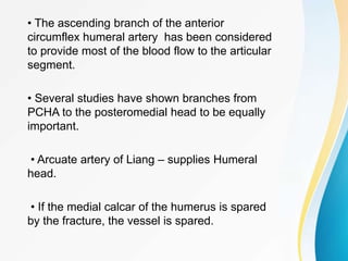 • The ascending branch of the anterior
circumflex humeral artery has been considered
to provide most of the blood flow to the articular
segment.
• Several studies have shown branches from
PCHA to the posteromedial head to be equally
important.
• Arcuate artery of Liang – supplies Humeral
head.
• If the medial calcar of the humerus is spared
by the fracture, the vessel is spared.
 