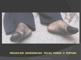 MEDIAS SIN ADHERENCIAS: POLVO, TIERRA O PINTURA

              PSICOLOGÍA FORENSE – OFICRI-DIRINCRI
 