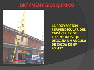 DICTAMEN FÍSICO QUÍMICO



             LA PROYECCIÓN
             PERPENDICULAR DEL
             CADÁVER ES DE
             1,65 METROS, QUE
             ORIGINA UN ÁNGULO
             DE CAÍDA DE 6º
             43´47”
 