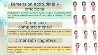 Dimensión actitudinal y
emocional
Predisposición a aceptar los cambios en el propio cuerpo, la sexualidad y la relación
con la pareja, disposición para ayudar al recién nacido a establecer el vínculo
afectivo
Dimensión
comportamental
Contempla el desarrollo de habilidades que permiten afrontar de una manera
competente el proceso de la gestación, parto y posparto.
Dimensión cognitiva
Relacionada con el proceso del nacimiento y sus implicaciones en las diferentes
etapas: gestación, parto y posparto. Conocimiento de los signos de alarma,
cuidados especiales.
1
1
1
 