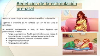 Beneficios de la estimulación
prenatal
-Mejora la interacción de la madre, del padre y del feto en formación.
-Optimiza el desarrollo de los sentidos, que son la base para el
aprendizaje.
-Al estimular prenatalmente al bebé, se estará logrando que
posteriormente el menor:
• Tenga un pensamiento flexible permitiendo nuevos modos de
interrelación con el mundo a parte de la experiencia directa.
• Aprenda a comparar y relacionar situaciones entre sí.
• Tenga mejor concentración.
• Tenga agudeza perceptiva.
 