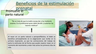 Beneficios de la estimulación
prenatal
“No se trata de que la madre escoja dar a luz mediante
cesárea. Es el profesional quien debe decidir y sustentar las
razones médicas”.
Promueve el
parto natural
Al nacer en un parto natural o psicoprofiláctico, el bebé se
beneficia principalmente en la oxigenación que recibe en la
primera respiración, ya que las contracciones del trabajo de
parto lo estimulan de tal forma que puede respirar mejor en el
momento del nacimiento y estar más activo los primeros días de
vida.
 