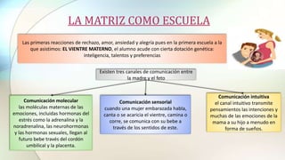 LA MATRIZ COMO ESCUELA
Las primeras reacciones de rechazo, amor, ansiedad y alegría pues en la primera escuela a la
que asistimos: EL VIENTRE MATERNO, el alumno acude con cierta dotación genética:
inteligencia, talentos y preferencias
Existen tres canales de comunicación entre
la madre y el feto
Comunicación molecular
las moléculas maternas de las
emociones, incluidas hormonas del
estrés como la adrenalina y la
noradrenalina, las neurohormonas
y las hormonas sexuales, llegan al
futuro bebe través del cordón
umbilical y la placenta.
Comunicación sensorial
cuando una mujer embarazada habla,
canta o se acaricia el vientre, camina o
corre, se comunica con su bebe a
través de los sentidos de este.
Comunicación intuitiva
el canal intuitivo transmite
pensamientos las intenciones y
muchas de las emociones de la
mama a su hijo a menudo en
forma de sueños.
 